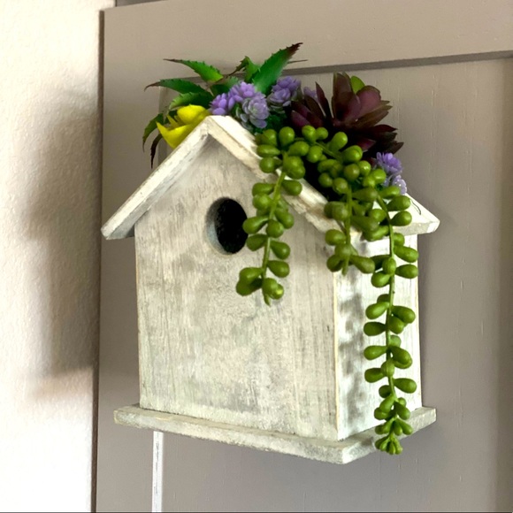 Birdhouse with succulent plant wall decor - Picture 1 of 6